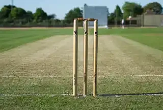 Cricketpitch